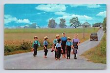 Ohio Amish Children Boys Girls Walking to School Ohio OH Chrome Postcard picture