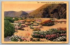 Vintage California Postcard - Springtime on the Desert - 1941 picture
