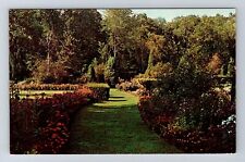 Michigan City IN-Indiana, International Friendship Gardens, Vintage Postcard picture