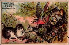 1880's Trade Card ASTC Black Tip Kid's Shoes Bird In Shoe & Sneaky Cat a33 picture