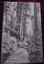 Antique Postcard Pre 1908 Heart Lake Roadway Near Anacortes WA Unused Excellent picture