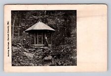 Garrett County MD-Maryland, Boiling Springs, Antique, Vintage c1906 Postcard picture