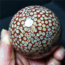 RARE 443.6G Natural polishing Colorful Agate Crystal  Sphere Ball Healing  B316 picture