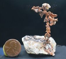 #12,331 Dendritic Copper – Ray Mine, Arizona picture