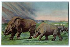 c1940's Mural Of Titanotheres Denver Colorado CO Denver Museum Unposted Postcard picture