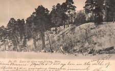 Walker MN-Minnesota, 1907 Scene on Shore Snow-Filled Forest, Vintage Postcard picture