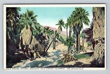 Palm Springs CA- California, Palm Springs, National Monument, Vintage Postcard picture