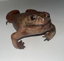 Vintage Stuffed Taxidermy Real Brown Frog/Toad Figure picture