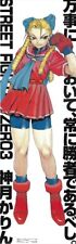 CAPCOM Sales Promotional Item Masahiko Nakahira Street Fighter ZERO3 Karin K... picture