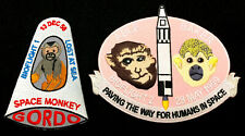 Space monkey Gordo, Able & Baker animal Astronaut, Cape Canaveral, rocket launch picture