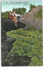Postcard NC Couple Hikers Grandfather Mountain View Linville North Carolina  picture