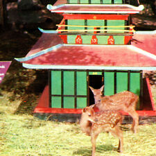 Vintage 1960s Japanese Sika Deer Pagoda Nursery Catskill Game Farm Postcard NY picture