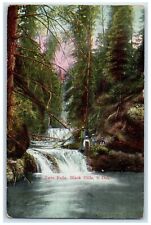 c1910 Twin Falls River Lake Trees Black Hills South Dakota SD Vintage Postcard picture