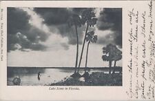Lake Scene in Florida c1900s Franz Huld Unposted Postcard picture