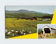 Postcard Pastoral Scene Mt. Mansfield Stowe Vermont USA picture