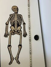 vintage Halloween die cut display skeleton w/ moveable arms legs Beistle #2 picture