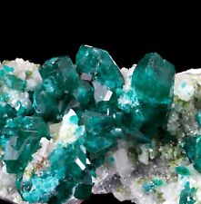 Excellent Bright Emerald Green Dioptase Xtals on Calcite - Tsumeb, Namibia picture