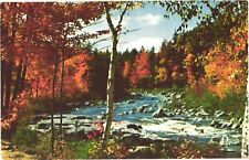 Autumn In The Swift River Rocky Gorge, White Mountain, New Hampshire Postcard picture