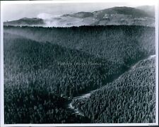 1971 Aerial View Redwood Creek Redwood National Park Ca Travel Photo 8X10 picture