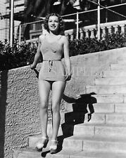1940s Hollywood Fan Favorite ELLEN DREW Leggy Photo   ( 165-b ) picture