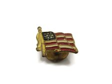 Antique American Flag Pin Buttonhole Design picture