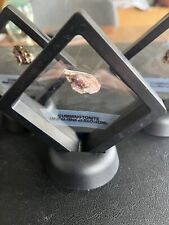 Cummingtonite - mineral sample Gift in black floating display case picture