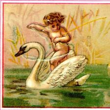1880s Somerville New Jersey Baby Rides Swan Colyer Coats Victorian Trade Card C8 picture