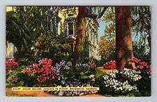 Brunswick GA-Georgia, Courthouse, Azaleas In Bloom, Antique Vintage Postcard picture