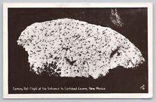 RPPC Postcard - Bat Flight at Entrance to Carlsbad Caverns, New Mexico picture