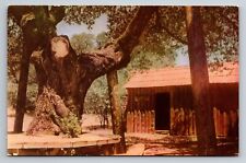 Postcard CA Mark Twains Cabin Jack Ass Hill Sonora California Vintage Union Oil picture