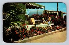 Ensenada Mexico, Estero Beach Hotel Resort, Advertising, Vintage Postcard picture