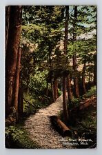 Ludington MI-Michigan, Indian Trail, Epworth, Vintage c1910 Postcard picture