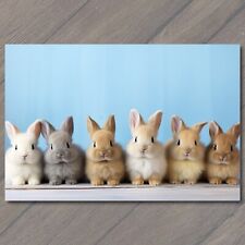 POSTCARD Six Adorable Rabbit  Bunnies - Pure Cuteness 🌸🖼️ picture