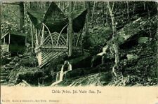 1906. CHILDS ARBOR, DEL. WATER GAP, PA. POSTCARD r13 picture