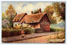 1907 Shakespeare's Country Ann Hathaway's Cottage Oilette Tuck Art Postcard picture