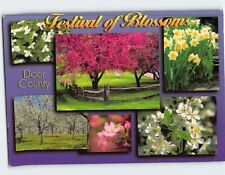 Postcard Festival of Blossoms Wisconsin USA picture