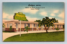 Badger Motel US Hwy 41 Miami Florida FL Roadside America Postcard picture