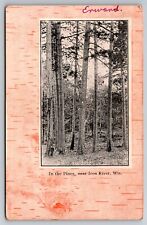 In the Pines Near Iron River Wisconsin WI c1910 Postcard picture