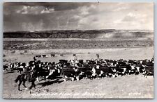 Prescott Arizona~Round Up of Cattle Below Mountains B&W~Postcard~RPPC 1945 picture