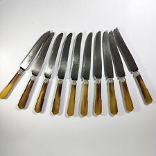 LA PANTHERE GARANTÌ.  Antique Set of 10 Table Knives, w. Natural Horn Handle picture