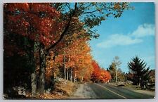 Autumn Road 1958 Fall Leaves Trees Pm Postcard picture