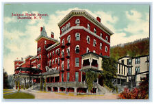 c1910 Jackson Health Resort Dansville New York NY Unposted Antique Postcard picture