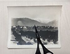 Antique 1902 Mount Baldy Claremont Calif Pomona College Original Photo picture