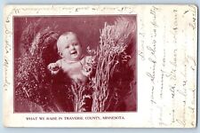 Traverse County Minnesota Postcard Raise Baby Child Photo c1910 Vintage Antique picture