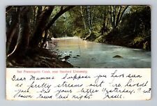 Stanford CA- California San Fransisquito Creek University Vintage c1906 Postcard picture