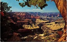 Grand Canyon National Park Arizona Petley South Rim View Unposted Vtg Postcard picture