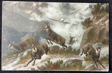 Vintage postcard wild goats on mountain avalanche UDB PRE 1908 picture