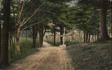 Stoughton Massachusetts MA Dirt Road c1900s-10s Postcard picture