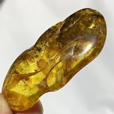 Polished Amber From The Baltic Sea In POLAND 6.25g With Unknown Inclusions picture