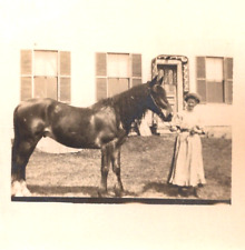 Woman Posing with Pet Horse in Front Yard 1900s RPPC Postcard Photo picture